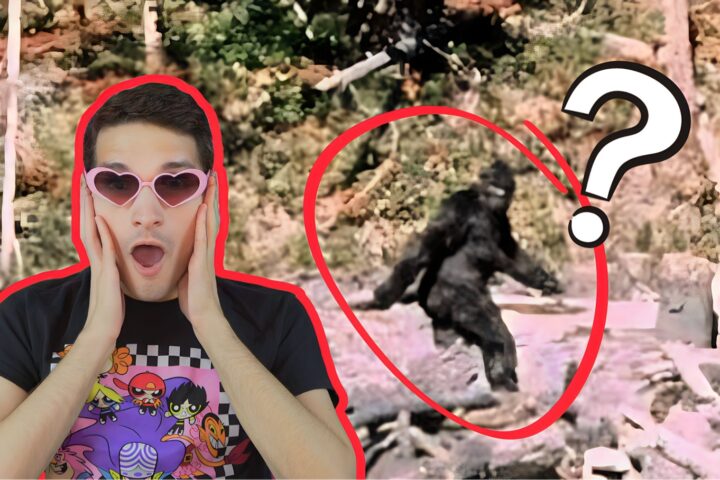 bigfoot sighting